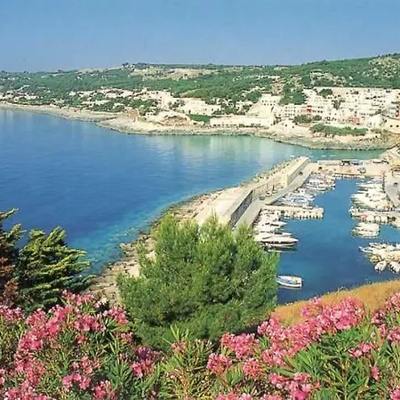 Apartman Casalmare